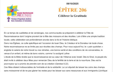 Epître 206