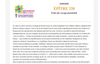 Epître 238