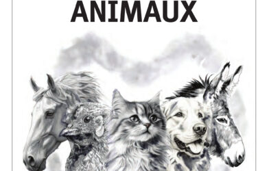 Ensemble N° 63 ANIMAUX