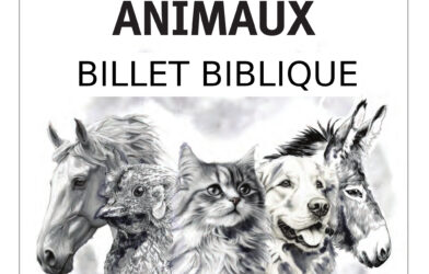 Ensemble N° 63 Billet biblique ANIMAUX