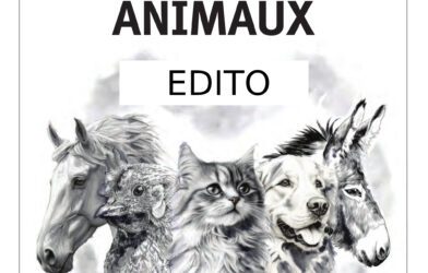 Ensemble N° 63 Edito ANIMAUX