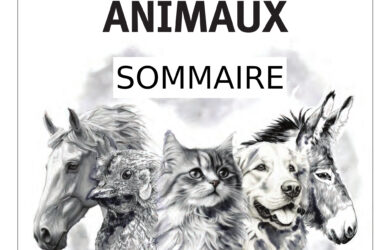 Ensemble N° 63 sommaire ANIMAUX